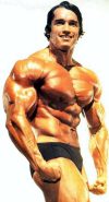 ������� ������������ - Arnold Schwarzenegger