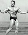 ������� ������������ - Arnold Schwarzenegger