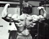 ������� ������������ - Arnold Schwarzenegger