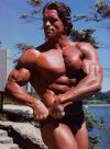 ������� ������������ - Arnold Schwarzenegger