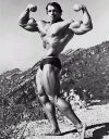 ������� ������������ - Arnold Schwarzenegger