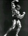 ������� ������������ - Arnold Schwarzenegger