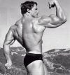 ������� ������������ - Arnold Schwarzenegger