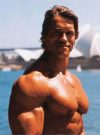 ������� ������������ - Arnold Schwarzenegger
