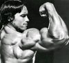 ������� ������������ - Arnold Schwarzenegger