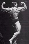 ������� ������������ - Arnold Schwarzenegger
