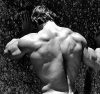������� ������������ - Arnold Schwarzenegger