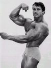 ������� ������������ - Arnold Schwarzenegger