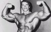 ������� ������������ - Arnold Schwarzenegger