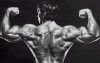 ������� ������������ - Arnold Schwarzenegger