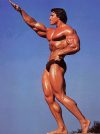 ������� ������������ - Arnold Schwarzenegger