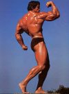 ������� ������������ - Arnold Schwarzenegger