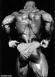 ����� ������� -  Ronnie Coleman 