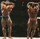 ������ ��c -  Dorian Yates 