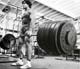 ������ ������� - Franco Columbu
