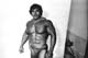 ������ ������� - Franco Columbu