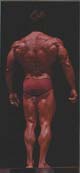����� ���� - Frank Zane