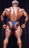 ���� ������ -  Jay Cutler 