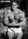 ���� ������ -  Jay Cutler 