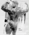 ���� ������ -  Jay Cutler 