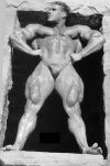 ���� ������ -  Jay Cutler 