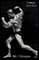 ����� ����� - Larry Scott