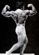 ���� ������� - Mike Mentzer