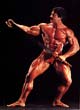 ���� ������� - Mike Mentzer