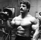 ���� ������� - Mike Mentzer