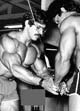 ���� ������� - Mike Mentzer