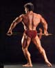 ���� ������� - Mike Mentzer