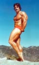 ���� ������� - Mike Mentzer