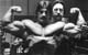 ���� ������� - Mike Mentzer