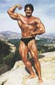 ���� ������� - Mike Mentzer