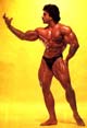 ����� ������ - Samir Bannout