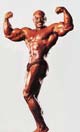 ������� ����� - Sergio Oliva
