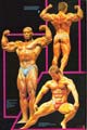 ������� ����� - Sergio Oliva