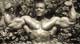 ������� ����� - Sergio Oliva