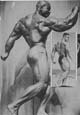 ������� ����� - Sergio Oliva