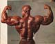 ������� ����� - Sergio Oliva