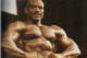 ������� ����� - Sergio Oliva