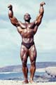 ������� ����� - Sergio Oliva