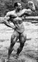 ������� ����� - Sergio Oliva