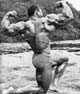 ������� ����� - Sergio Oliva