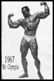������� ����� - Sergio Oliva