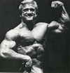 ��� ����� - Tom Platz