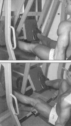������� ��� ���� ������ "Hammer Iso-Lateral Leg Press".