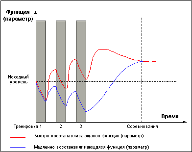 рис. 6