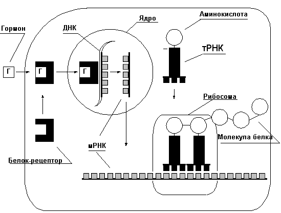 рис. 7