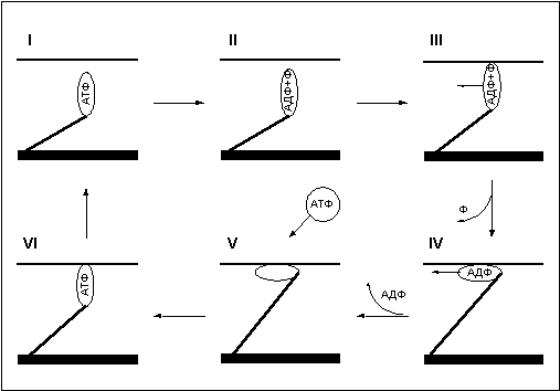 рис. 8